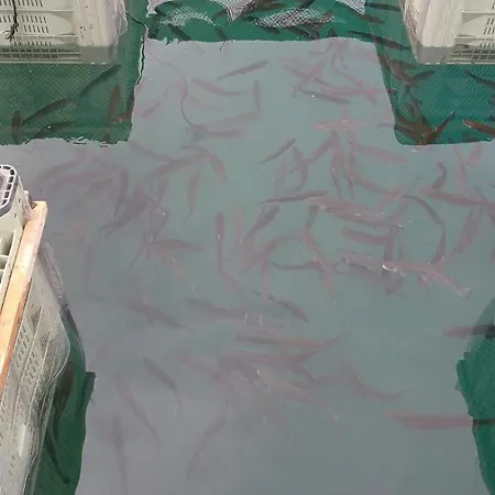 Le Family Du Brask Nyaraló La Motte-du-Caire