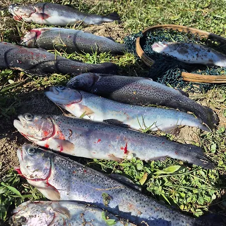 Le Family Du Brask La Motte-du-Caire